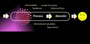 Etapas del proceso aplicadas a COVID-19